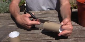 Ne bacajte rolnu toalet papira: Jedna žena je napravila čudo – i svi će ovog proleća posmatrati njeno dvorište