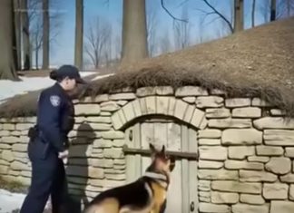 Četiri godine tišine i nade 👮♀️🐕