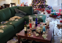 Dala sam svojoj rodici kuću za Božić dok nisam bila u gradu – ali ono što me dočekalo po povratku me šokiralo.