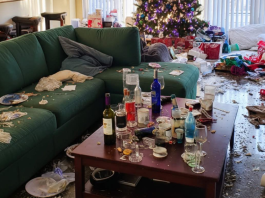 Dala sam svojoj rodici kuću za Božić dok nisam bila u gradu – ali ono što me dočekalo po povratku me šokiralo.