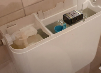 Čula je da nešto klokoće u vodokotliću: Kad ga je otvorila, od prizora se sledila na mestu, au kakav horor (FOTO)