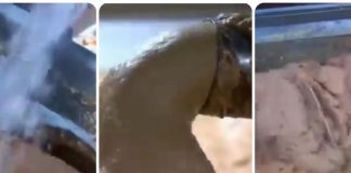 OVO JE NAJOPASNIJA NAMIRNICA, A STALNO JEDEMO: Stalno je na SNIŽENJU, a niko vam neće reći da može biti OTROVNA!