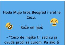 VIC: Mujo sretne Cecu