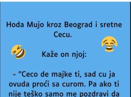 VIC: Mujo sretne Cecu