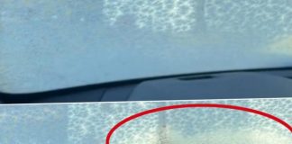 TRIK ZA ODMRZAVANJE ŠOFERŠAJBNE ZA KOJIM JE POLUDILO 3,7 MILIONA LJUDI: Ovoga se NIKAD ne biste sjetili, a toliko je JEDNOSTAVNO!