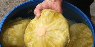 Nl SLUČAJNO NEM0JTE JESTI KlSELI KUPUS AK0 B0LUJETE 0D 0VE B0LESTl!