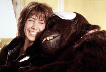 ŽENA JE UDOMILA GORILU NE SLUTEĆI NA VELIKU TRAGEDIJU: Gledala je na njega kao na sina, a onda je nastala AGONIJA