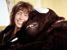 ŽENA JE UDOMILA GORILU NE SLUTEĆI NA VELIKU TRAGEDIJU: Gledala je na njega kao na sina, a onda je nastala AGONIJA