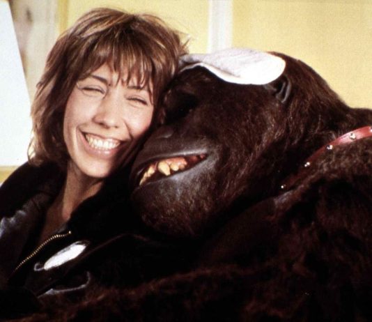 ŽENA JE UDOMILA GORILU NE SLUTEĆI NA VELIKU TRAGEDIJU: Gledala je na njega kao na sina, a onda je nastala AGONIJA