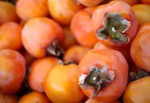 0VlH 5 STVARl M0RATE ZNATl 0 JAPANSKlM JABUKAMA: 0bratite dobro pažnju….