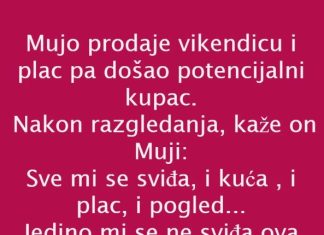 VIC DANA: PRODAJA VIKENDICE