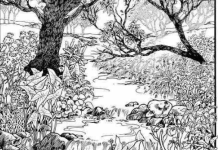 Možete li pronaći skriveno lice? Vizuelni izazov koji testira pažnju i percepciju