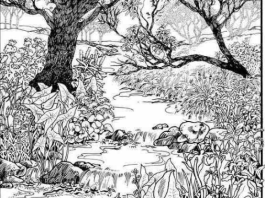 Možete li pronaći skriveno lice? Vizuelni izazov koji testira pažnju i percepciju