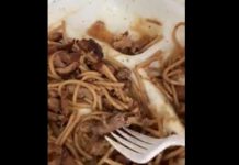 OVO JE NEŠTO NAJODVRATNIJE IKADA! U obroku je pronašla skuvanu životinju, prevrnuće vam se stomak kad vidite koju