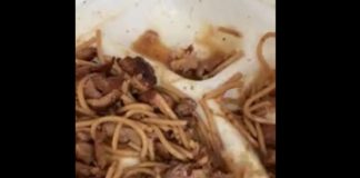 OVO JE NEŠTO NAJODVRATNIJE IKADA! U obroku je pronašla skuvanu životinju, prevrnuće vam se stomak kad vidite koju