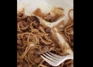 OVO JE NEŠTO NAJODVRATNIJE IKADA! U obroku je pronašla skuvanu životinju, prevrnuće vam se stomak kad vidite koju