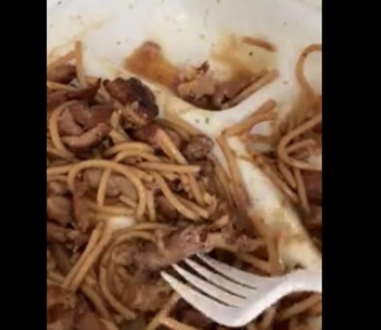 OVO JE NEŠTO NAJODVRATNIJE IKADA! U obroku je pronašla skuvanu životinju, prevrnuće vam se stomak kad vidite koju