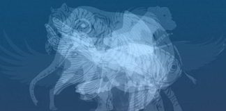 Životinja koju prvu vidite na slici otkrit će do gole kože vaš karakter: Jeste li spremni?