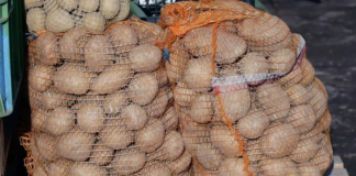 Deda je to uvijek bacao u kesu sa krompirom i izdržali su do sljedeće berbe: Ni jedan nije proklijao! (Foto)