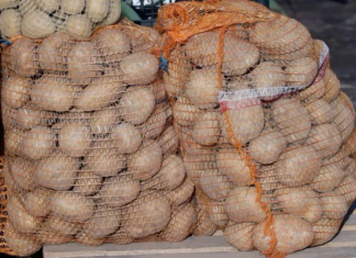 Deda je to uvijek bacao u kesu sa krompirom i izdržali su do sljedeće berbe: Ni jedan nije proklijao! (Foto)