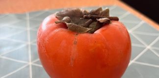 5 stvari koje trebate znati o japanskim jabukama