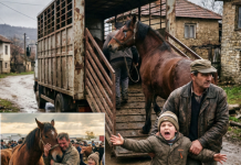 Sin prodao očevog konja mesaru, a onda se desilo ovo