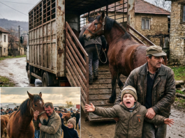 Sin prodao očevog konja mesaru, a onda se desilo ovo