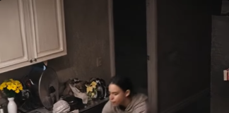 Kada je muž instalirao kameru, istina ga je zaledila: pas nije napadao — sprečavao je ono najgore