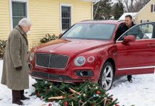 Moj komšija pregazio je moju malu jelku svojim skupim autom… a sudbina mu je uzvratila surovim iznenađenjem