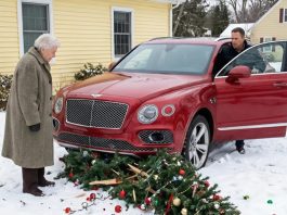 Moj komšija pregazio je moju malu jelku svojim skupim autom… a sudbina mu je uzvratila surovim iznenađenjem