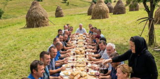 Udovica je noću krišom krenula da kosi livadu jer nije imala novca za radnike, a ujutru je zatekla prizor koji ju je bacio na kolena
