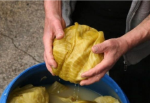 Kiseli kupus može da traje do ljeta, samo dodajte ovaj sastojak