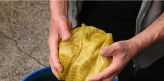 Kiseli kupus može da traje do ljeta, samo dodajte ovaj sastojak