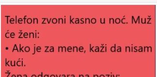 VIC DANA: ŽENA I POZIV