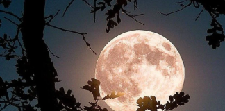 Stiže nam pun Mjesec 1. februara: 4 znaka horoskopa broje sitno do najveće sreće