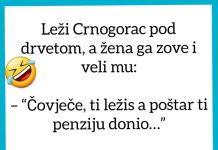 VIC DANA: Crnogorac i penzija