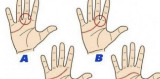 DOBRO POGLEDAJTE VAŠU LINIJU SRCA NA DLANU: PROVJERITE ŠTA ONA ZNAČI, saznajte vašu sudbinu