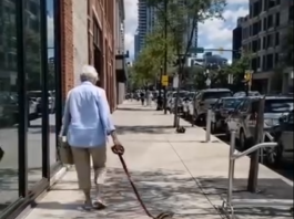 Baka, piton i glavna ulica: neobična šetnja koja je otvorila važno pitanje o strahu, pravilima i usamljenosti