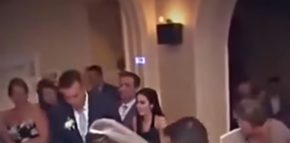 Na svadbi se nešto počelo micati ispod mladenkine haljine – Neočekivani gost koji je nasmijao sve