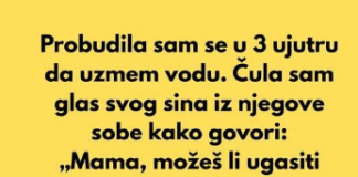 Probudila sam se u 3 ujutru da uzmem vodu i čula sam…