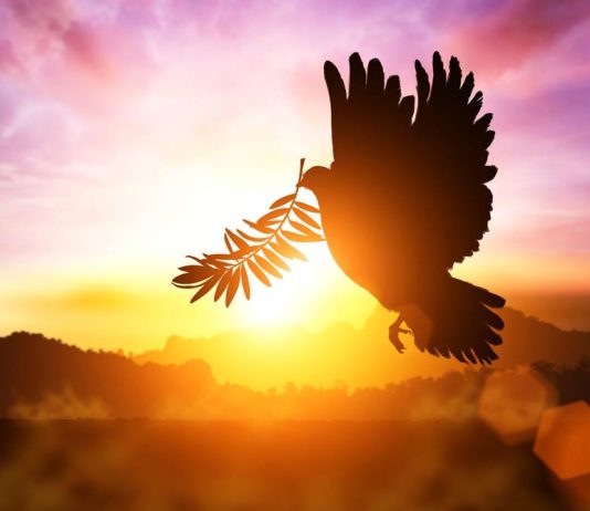 Na koja vrata biste sada pokucali bez razmišljanja? Evo šta to otkriva o vama