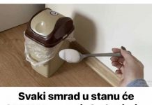 Svaki smrad u stanu će ODMAH nestati ako koristite ovaj jednostavan TRIK!