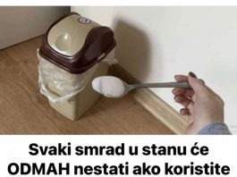 Svaki smrad u stanu će ODMAH nestati ako koristite ovaj jednostavan TRIK!