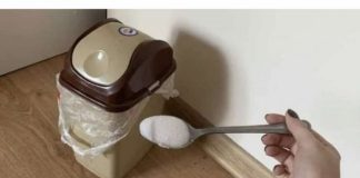 Svaki smrad u stanu će ODMAH nestati ako koristite ovaj jednostavan TRIK!