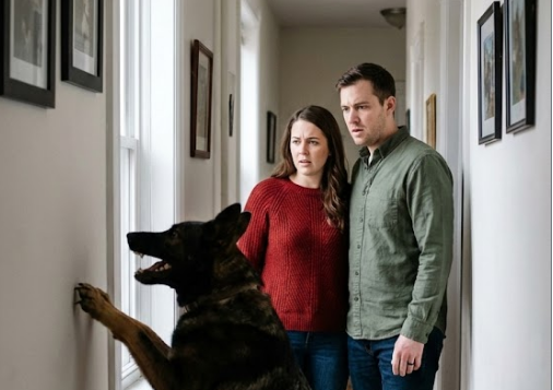 Istina iza zida: Šta je Maks znao od početka, a niko nije hteo da poveruje