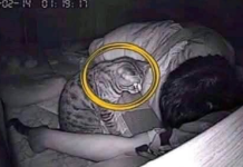 “Preselila sam se kod dečka koji je imao mačku”