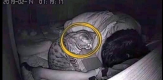 “Preselila sam se kod dečka koji je imao mačku”