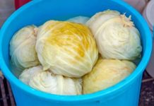 Kiseli kupus je počeo da pjeni? Trajaće vam do ljeta ako dodate samo 1 sastojak