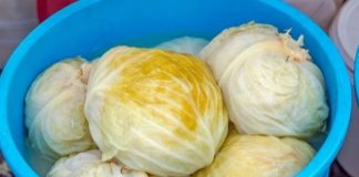 Kiseli kupus je počeo da pjeni? Trajaće vam do ljeta ako dodate samo 1 sastojak