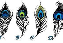 Psihološki test: Izaberite jedno pero i otkrijte najjače crte vašeg karaktera i skrivenu unutrašnju moć